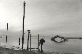 Landing, Salton Sea, 1992